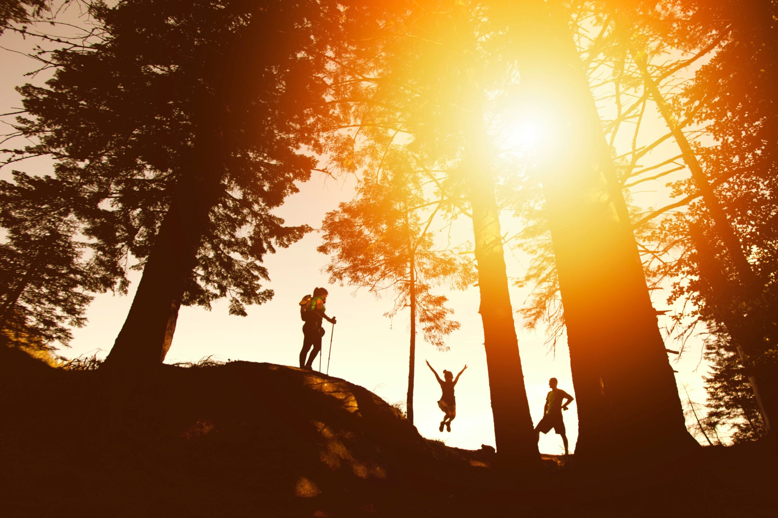 A photo of three people hiking in the forest, backlit by the sun.