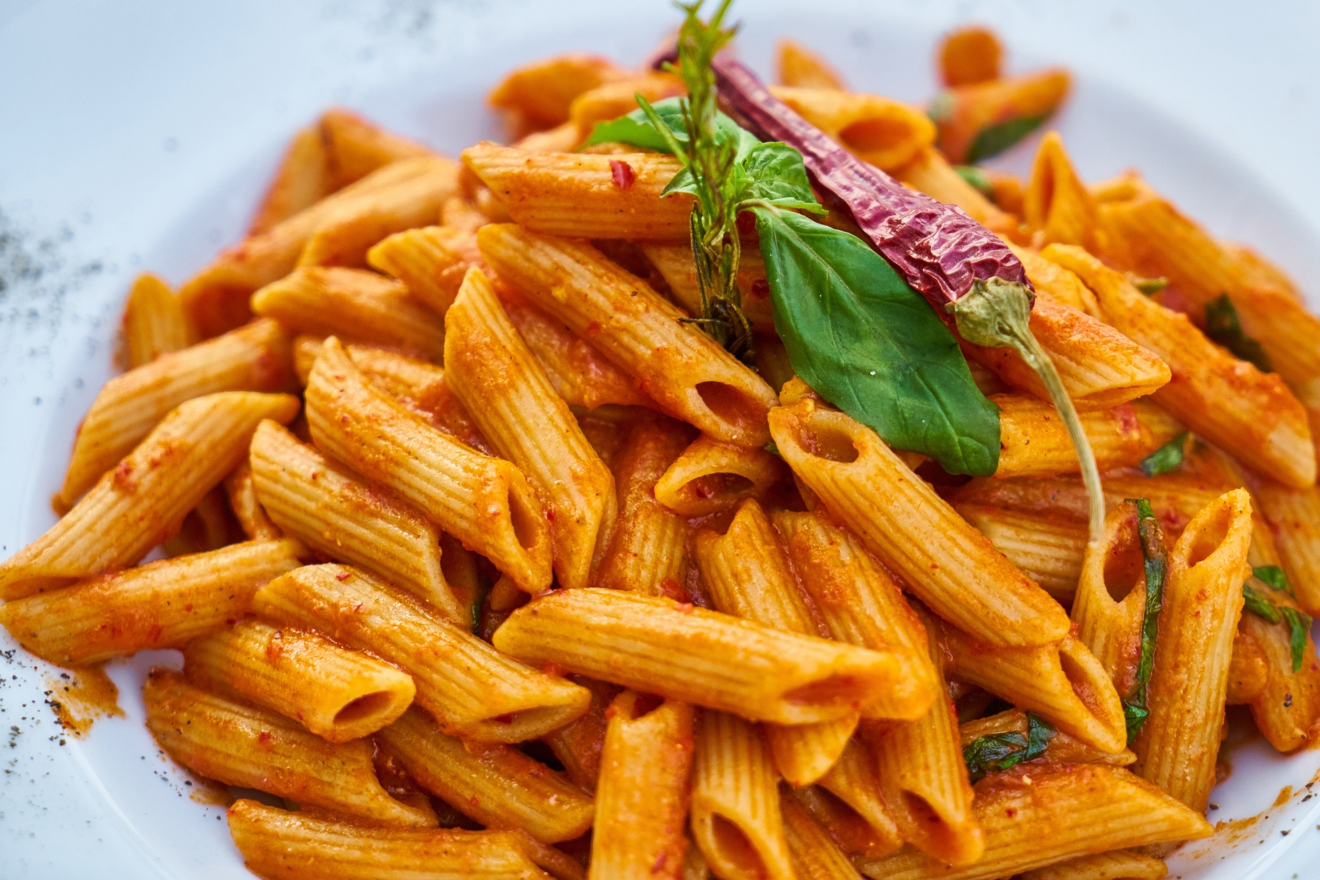 A bowl of penne pasta with red sauce.